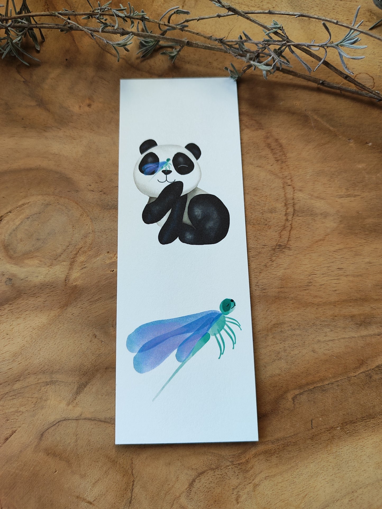 PANDA Libelle