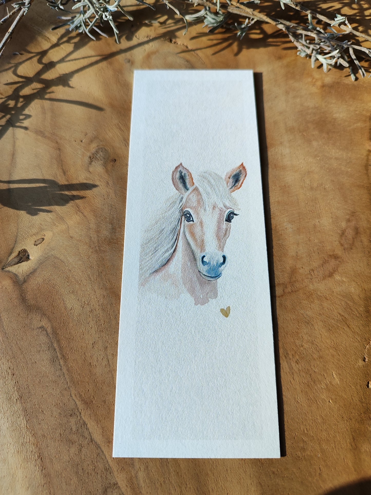PFERD beige fotostyle