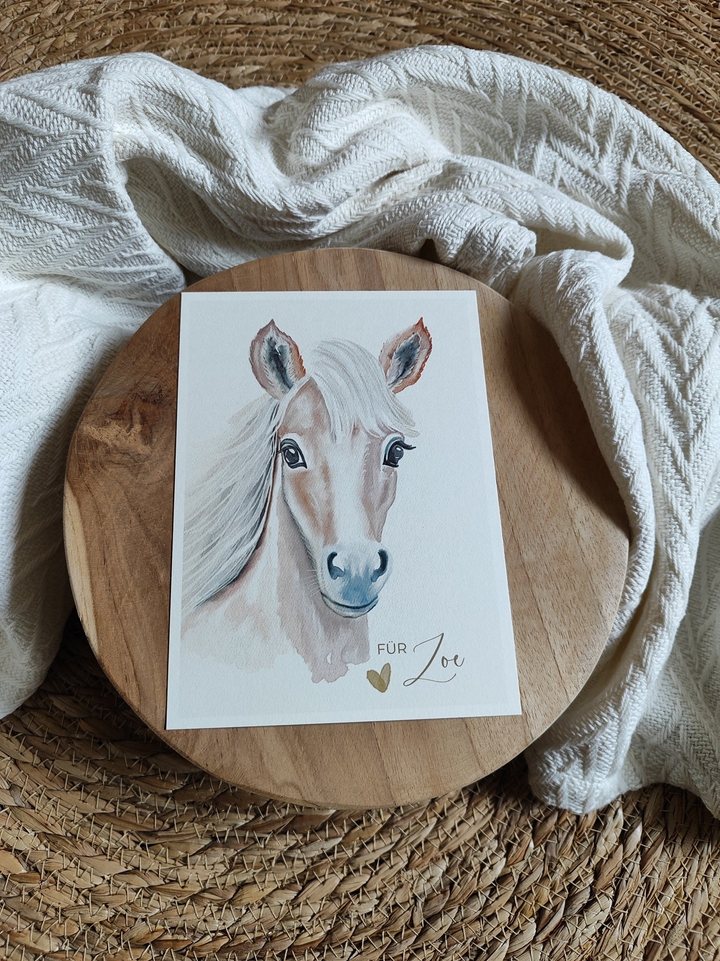 PFERD beige fotostyle
