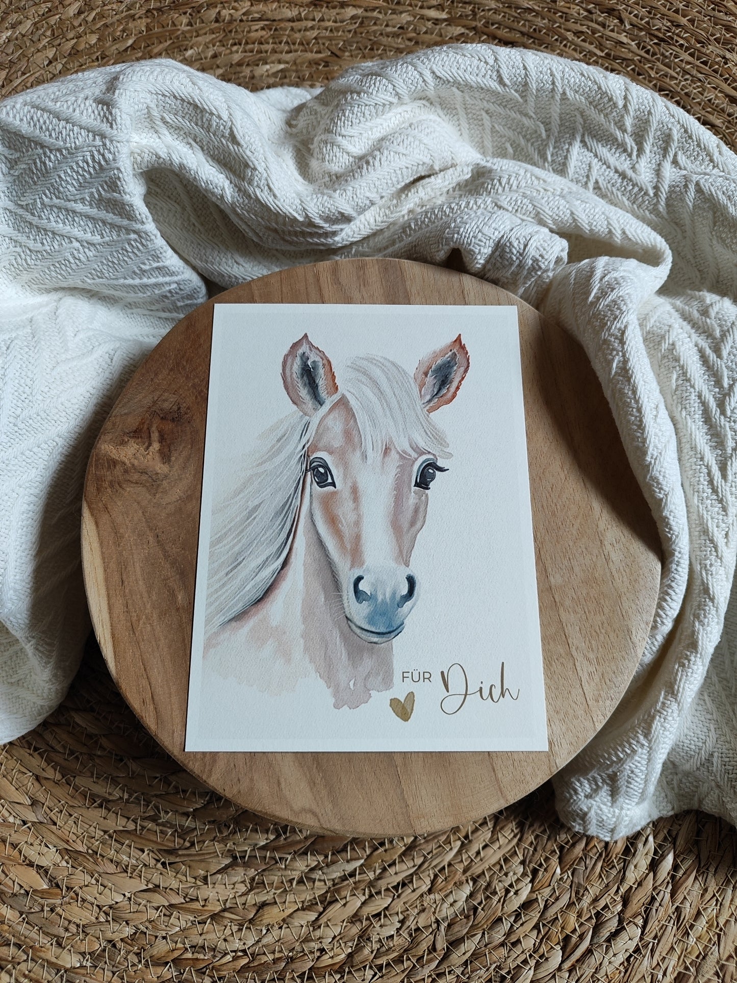 PFERD beige fotostyle