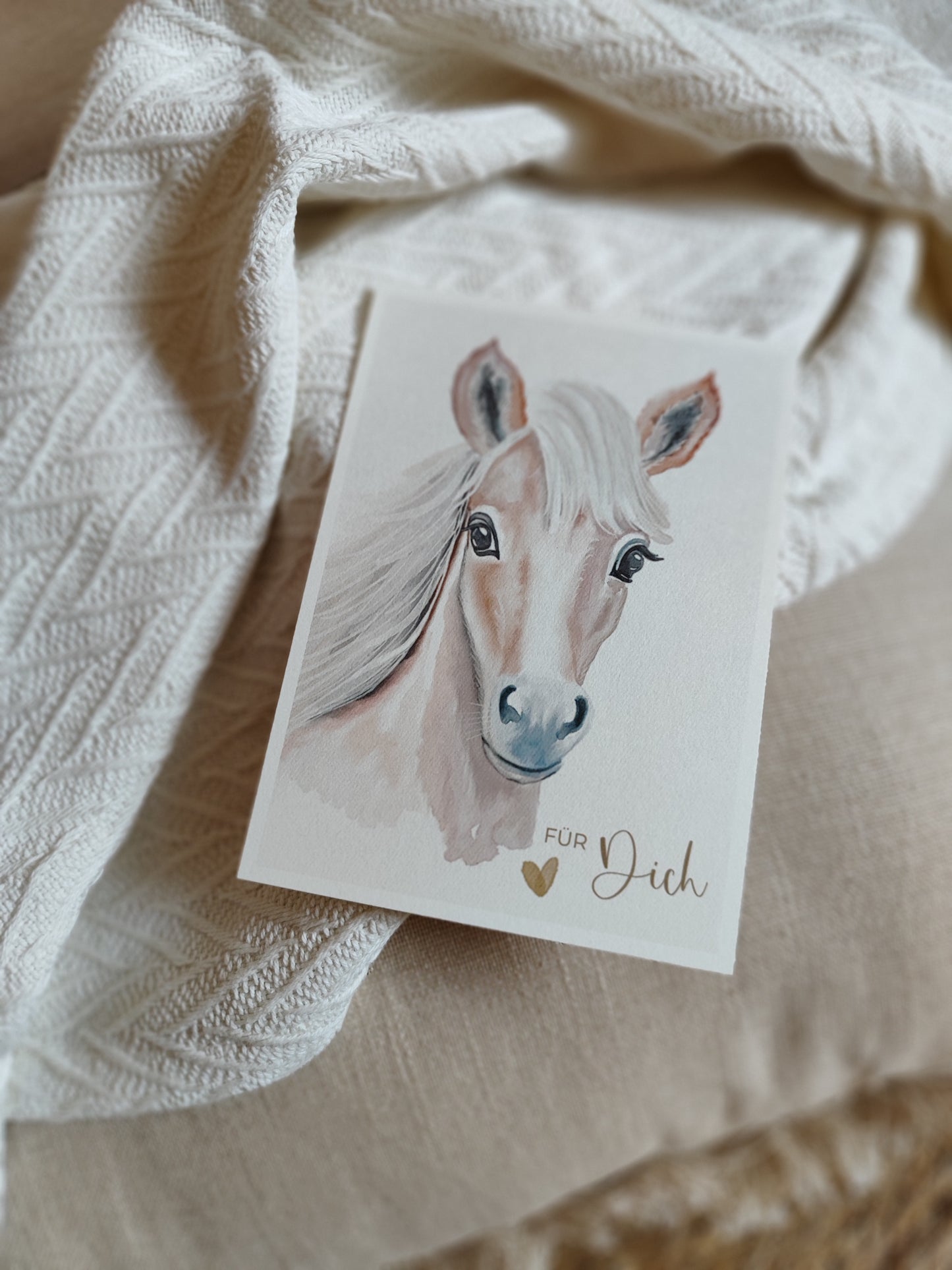 PFERD beige fotostyle