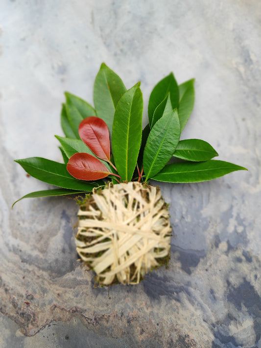 Ananas Blumenschmuck RED ROBIN & MOOS