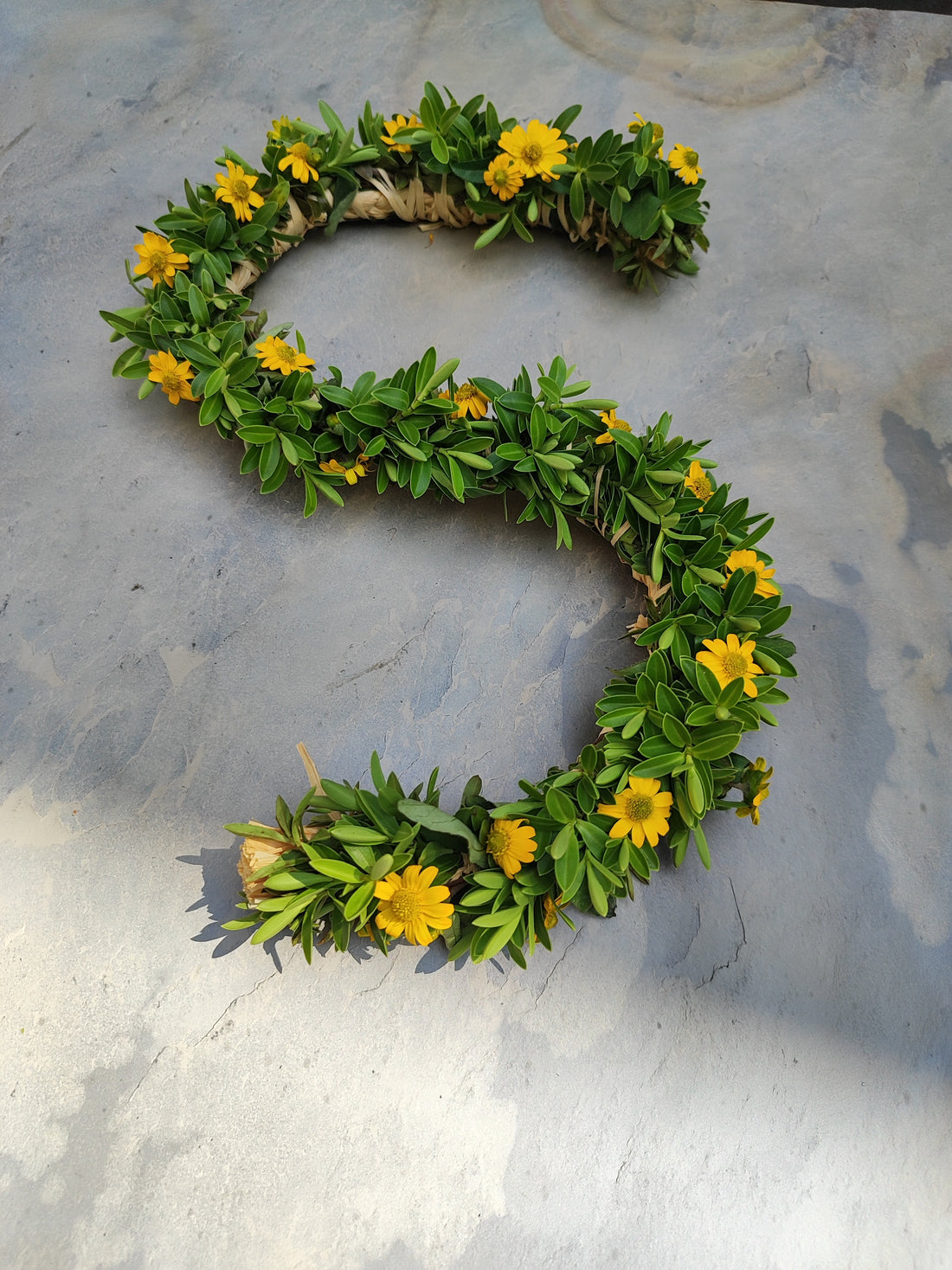 Buchstabe Blumenschmuck HUSARENKNÖPFCHEN