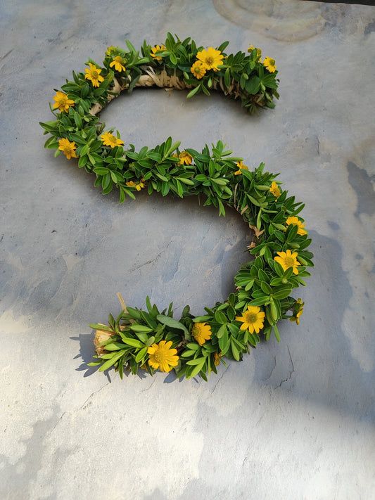 Buchstabe Blumenschmuck HUSARENKNÖPFCHEN