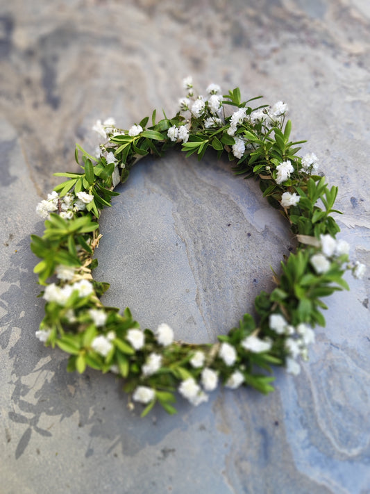Kleiner Blumenkranz SCHLEIERKRAUT