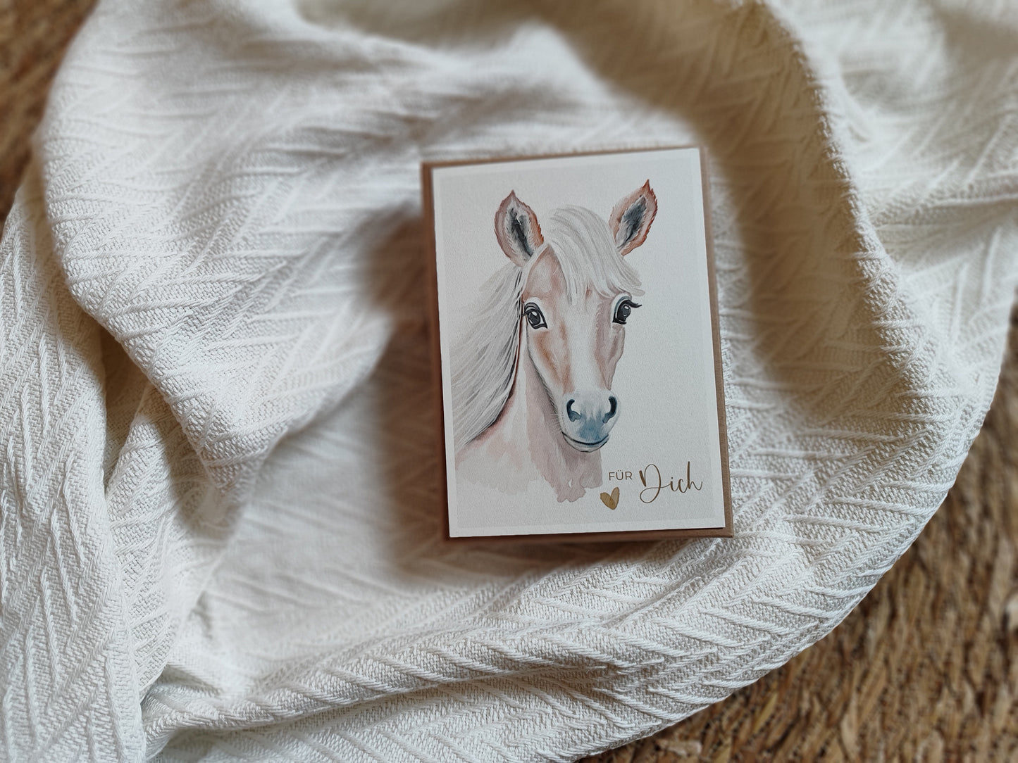 PFERD beige fotostyle