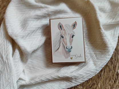 PFERD beige fotostyle