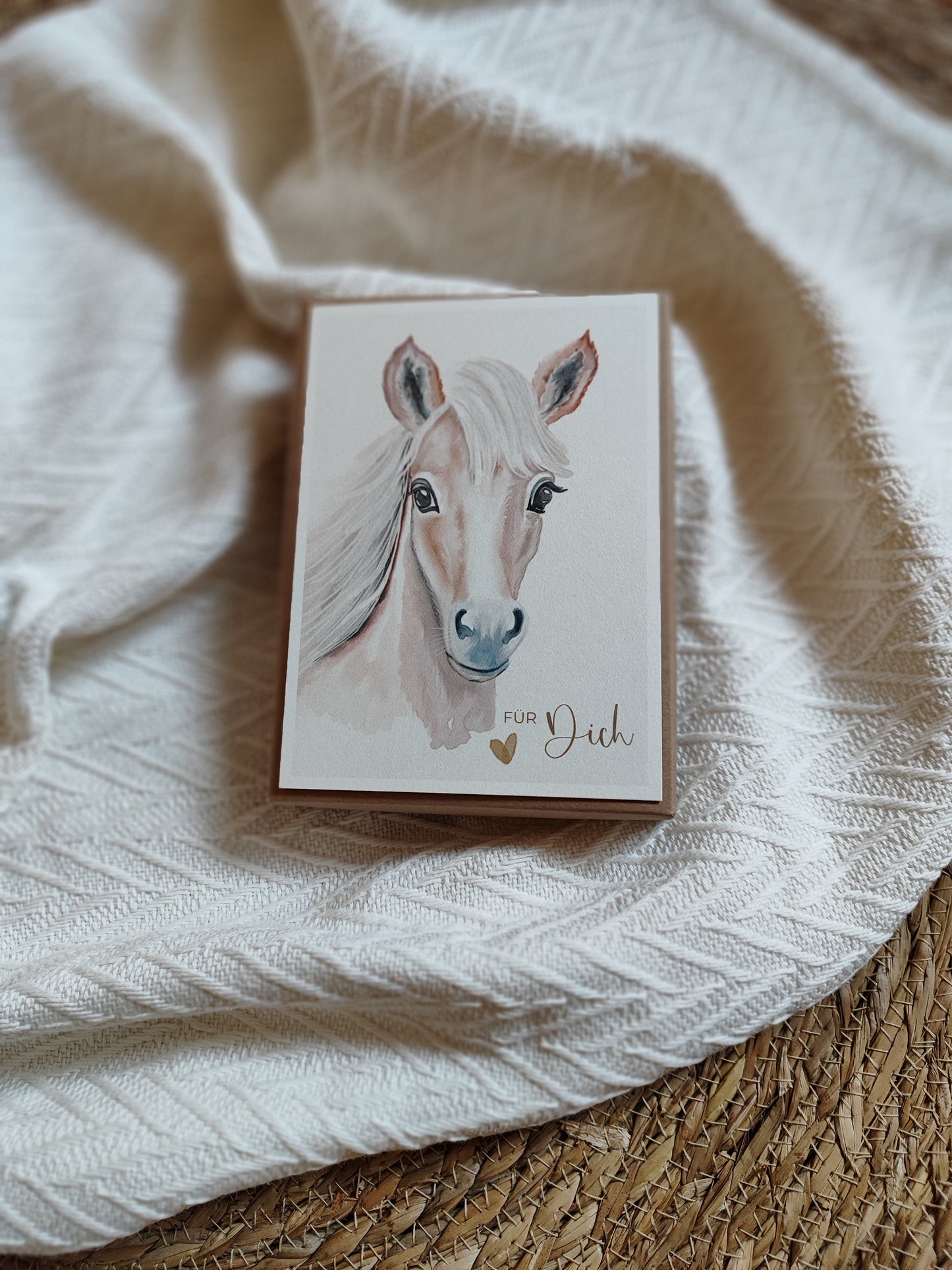 PFERD beige fotostyle