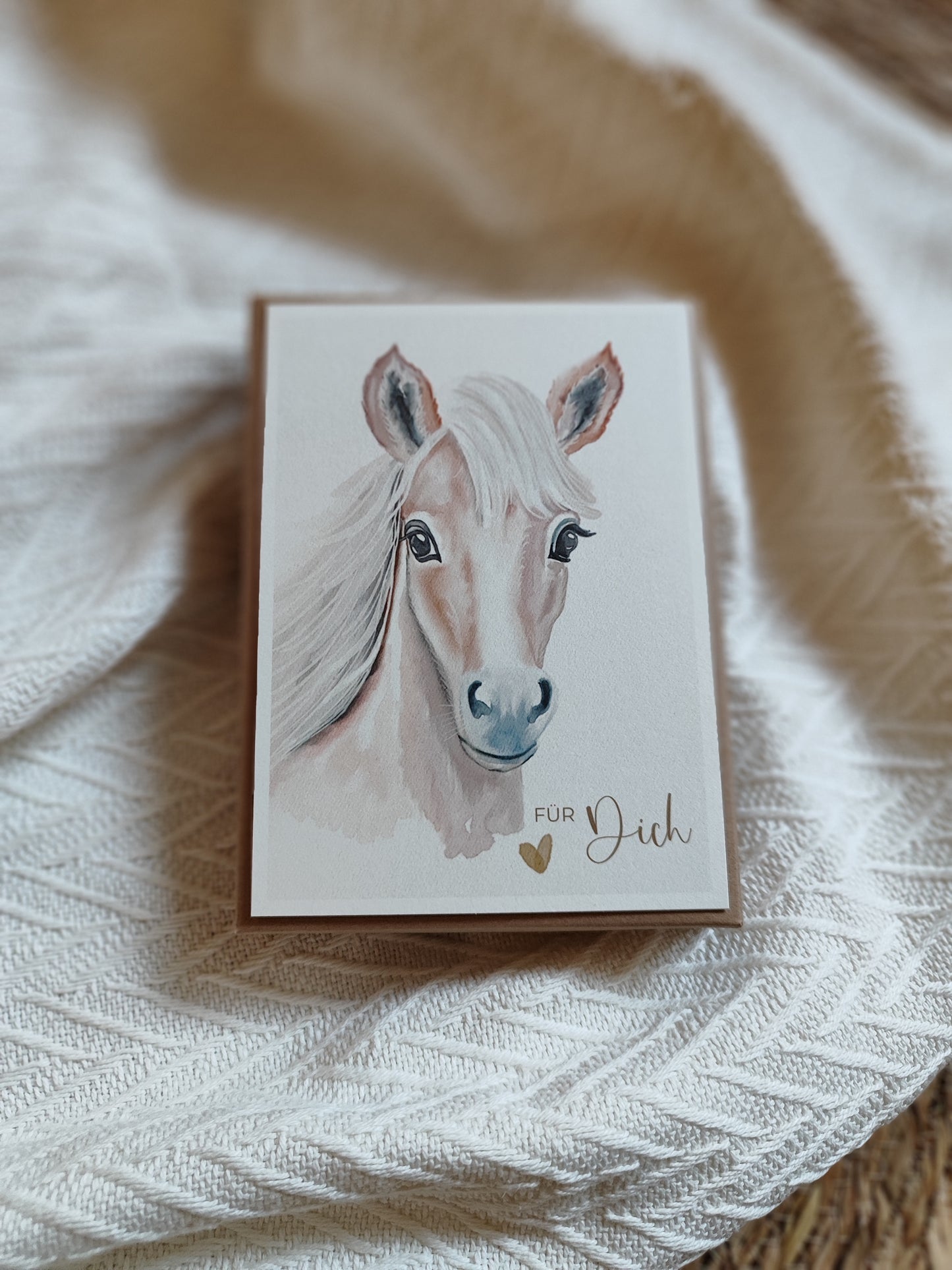 PFERD beige fotostyle