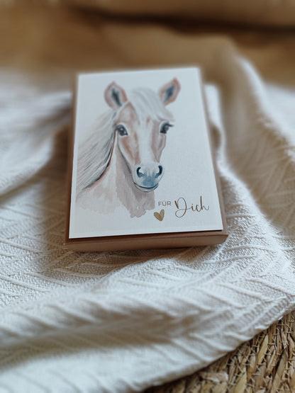 PFERD beige fotostyle