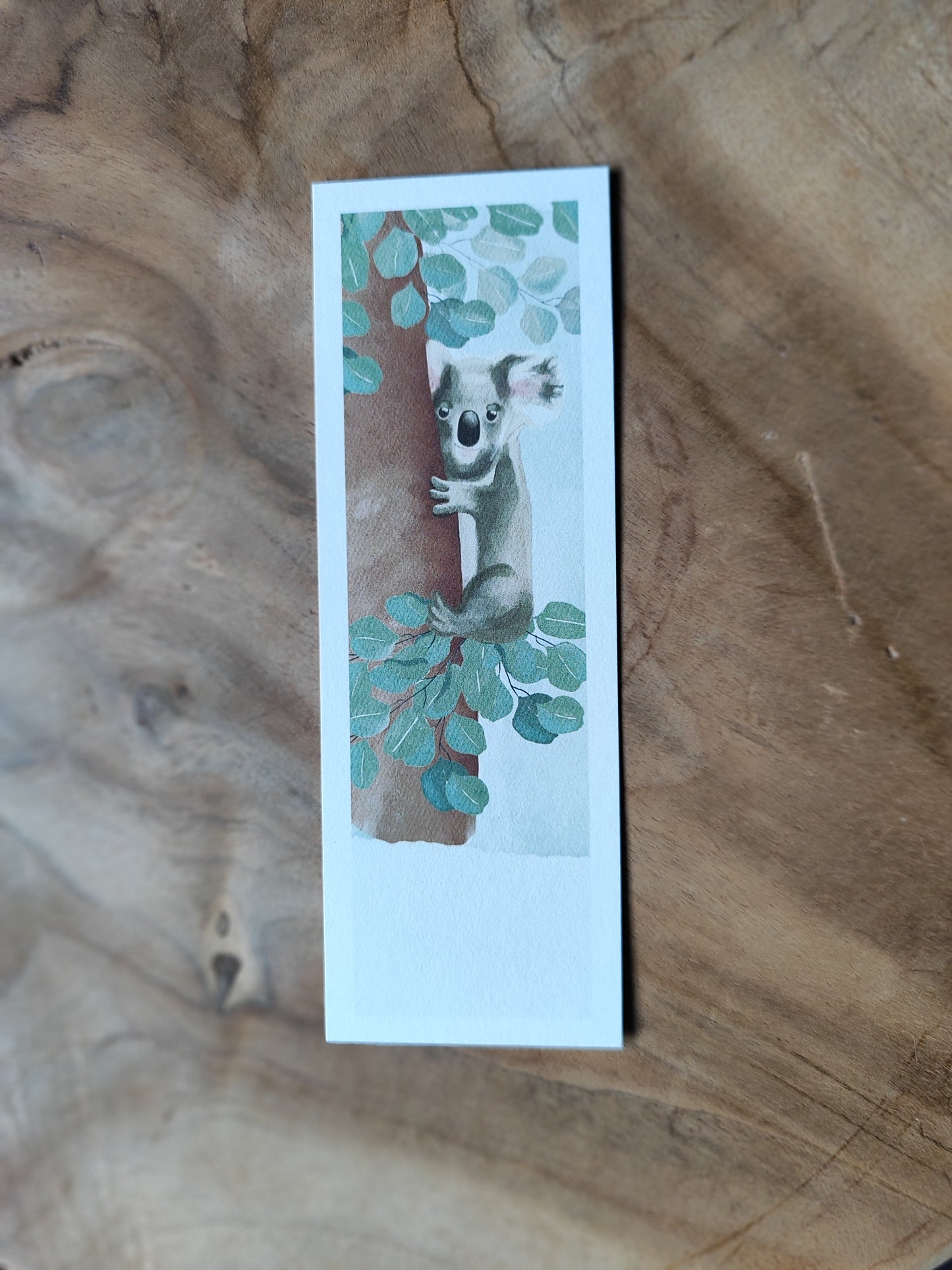 KOALA fotostyle