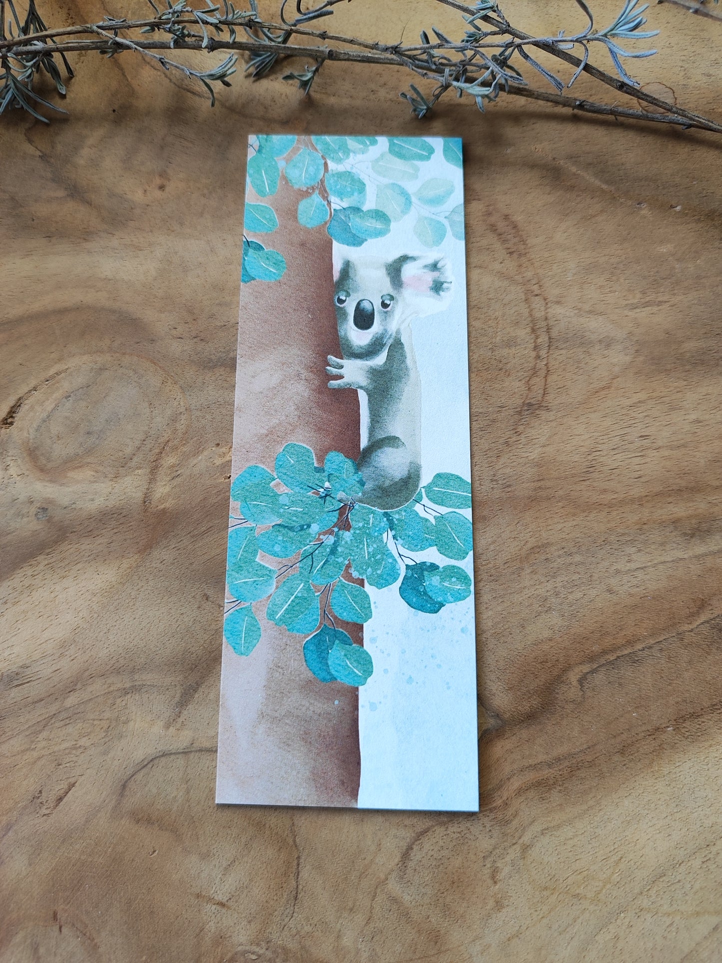 KOALA