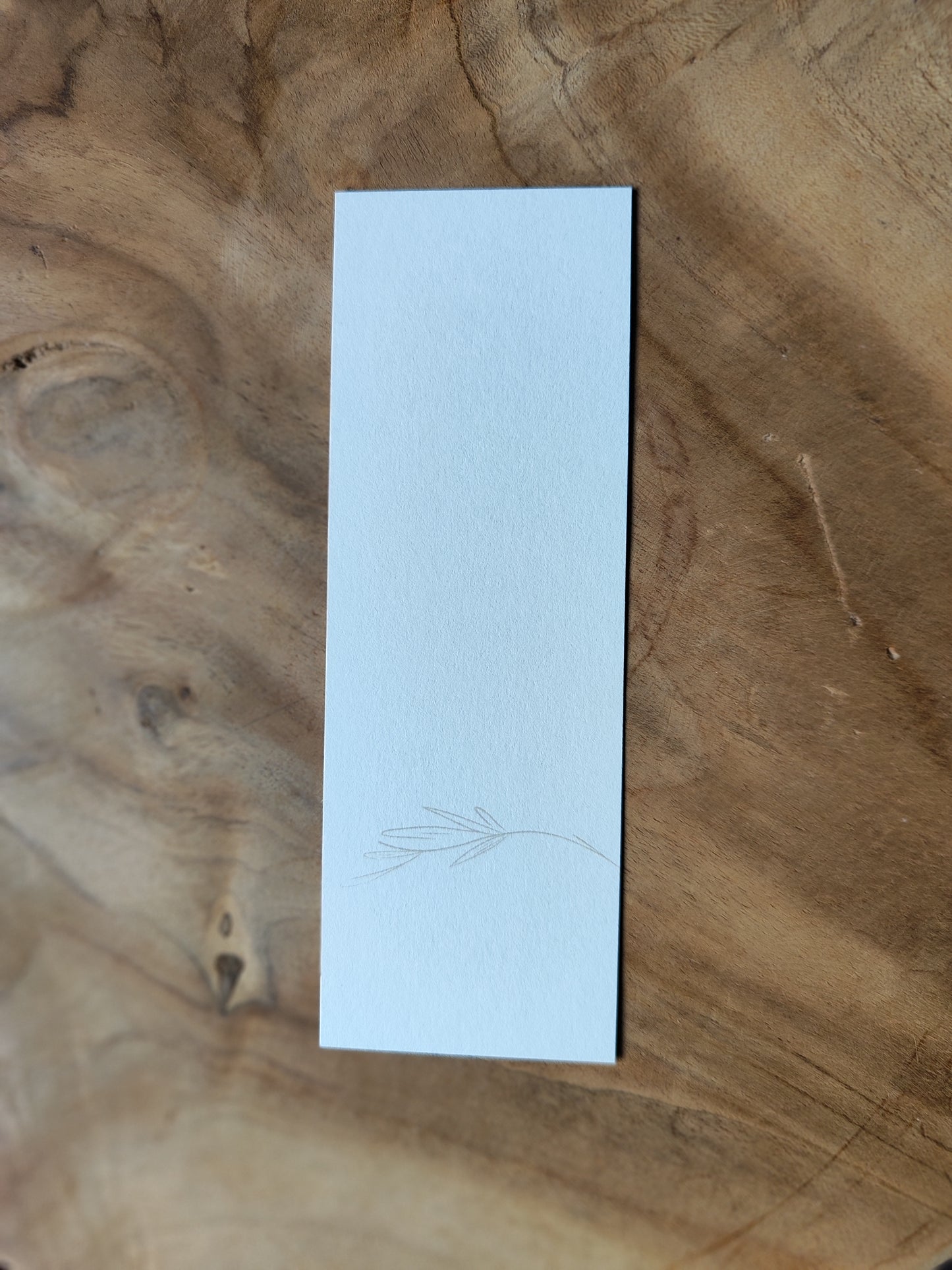 LAVENDEL Outline 1