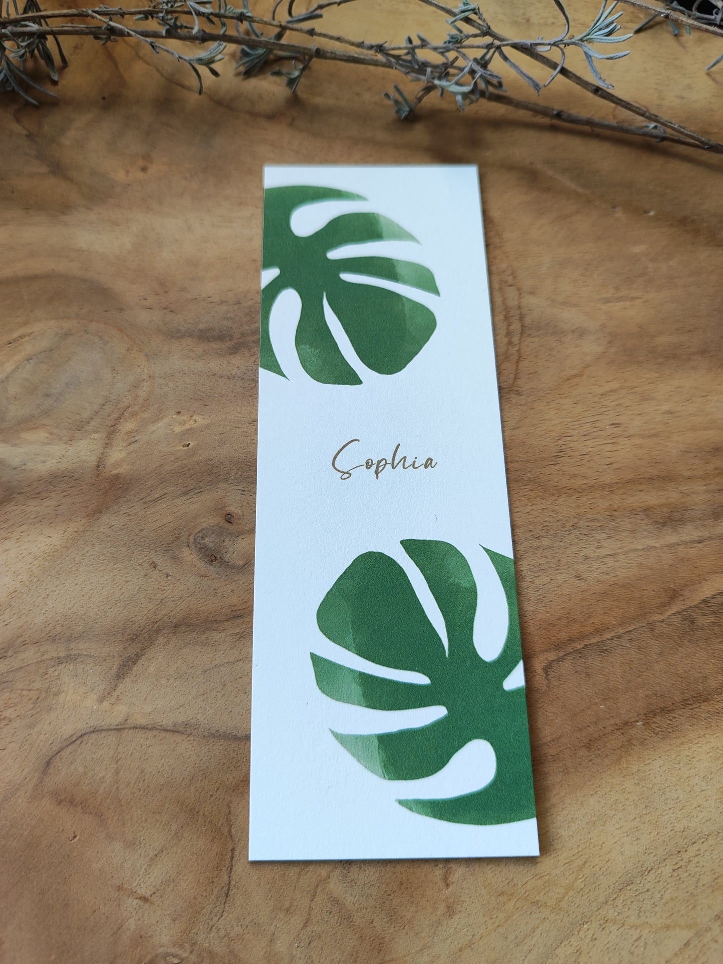 MONSTERA
