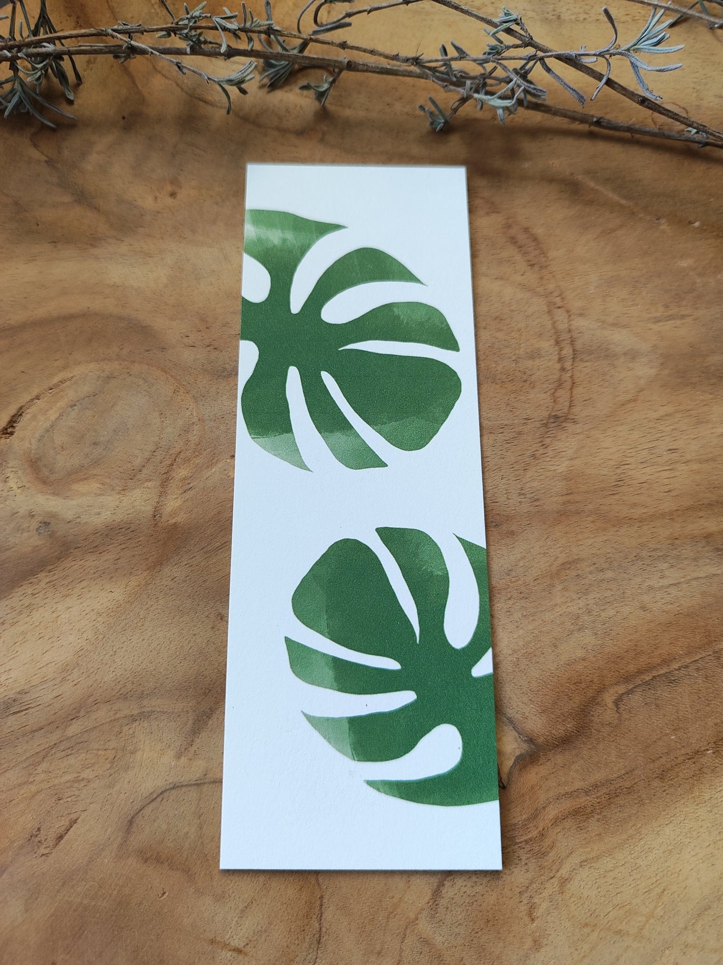 MONSTERA