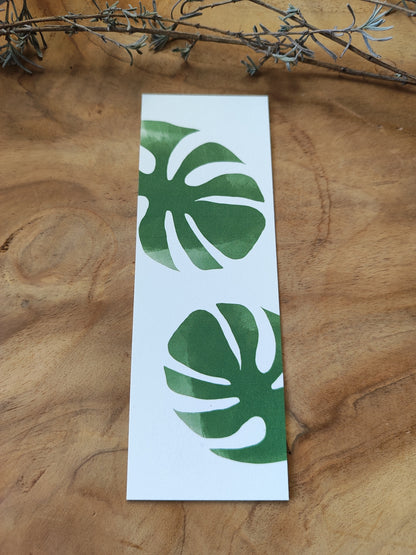 MONSTERA