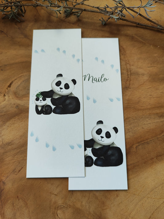PANDA Baden