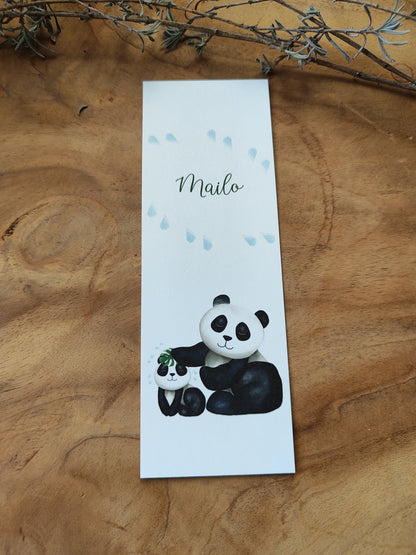 PANDA Baden