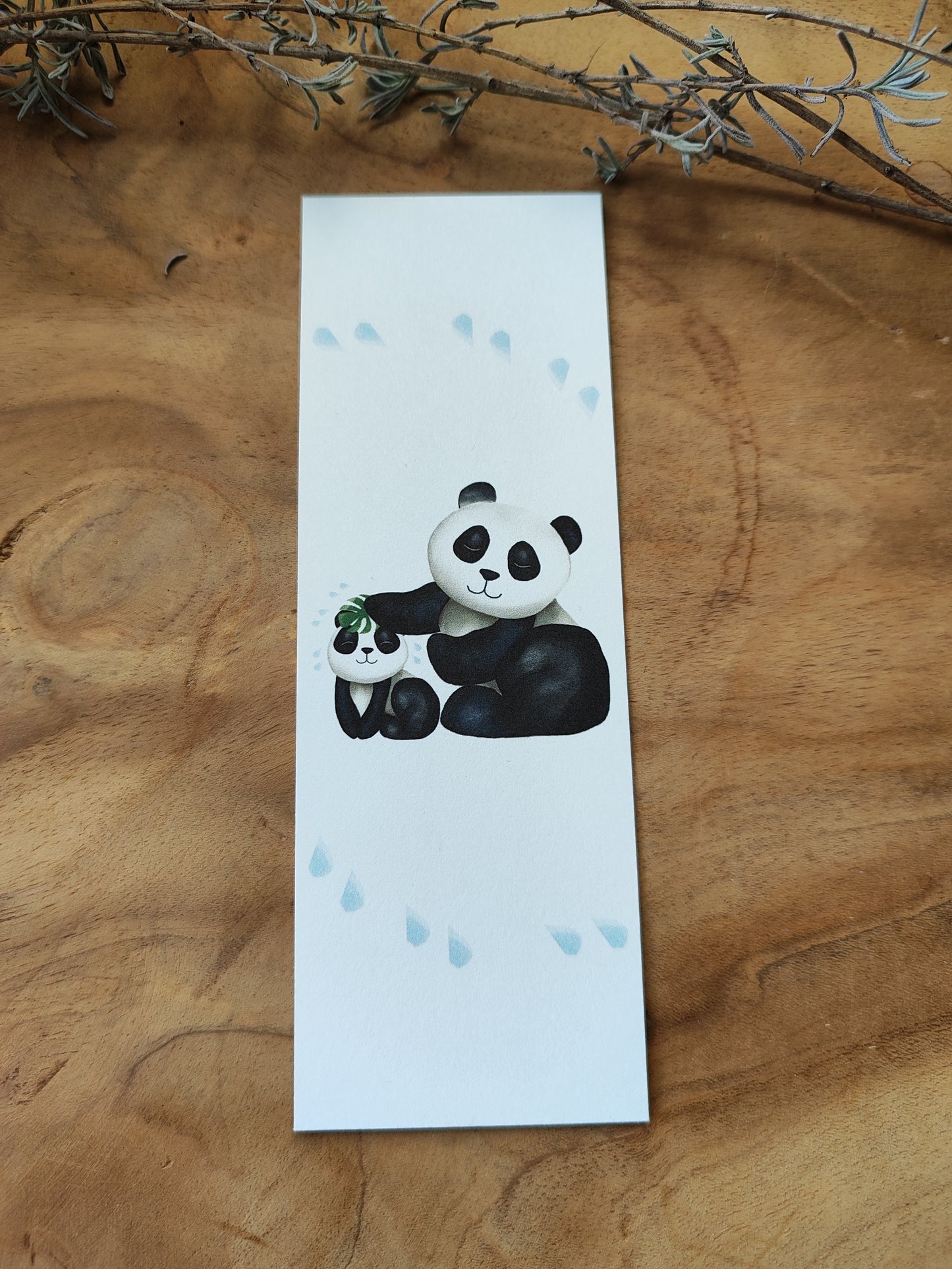 PANDA Baden