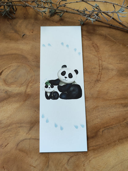 PANDA Baden