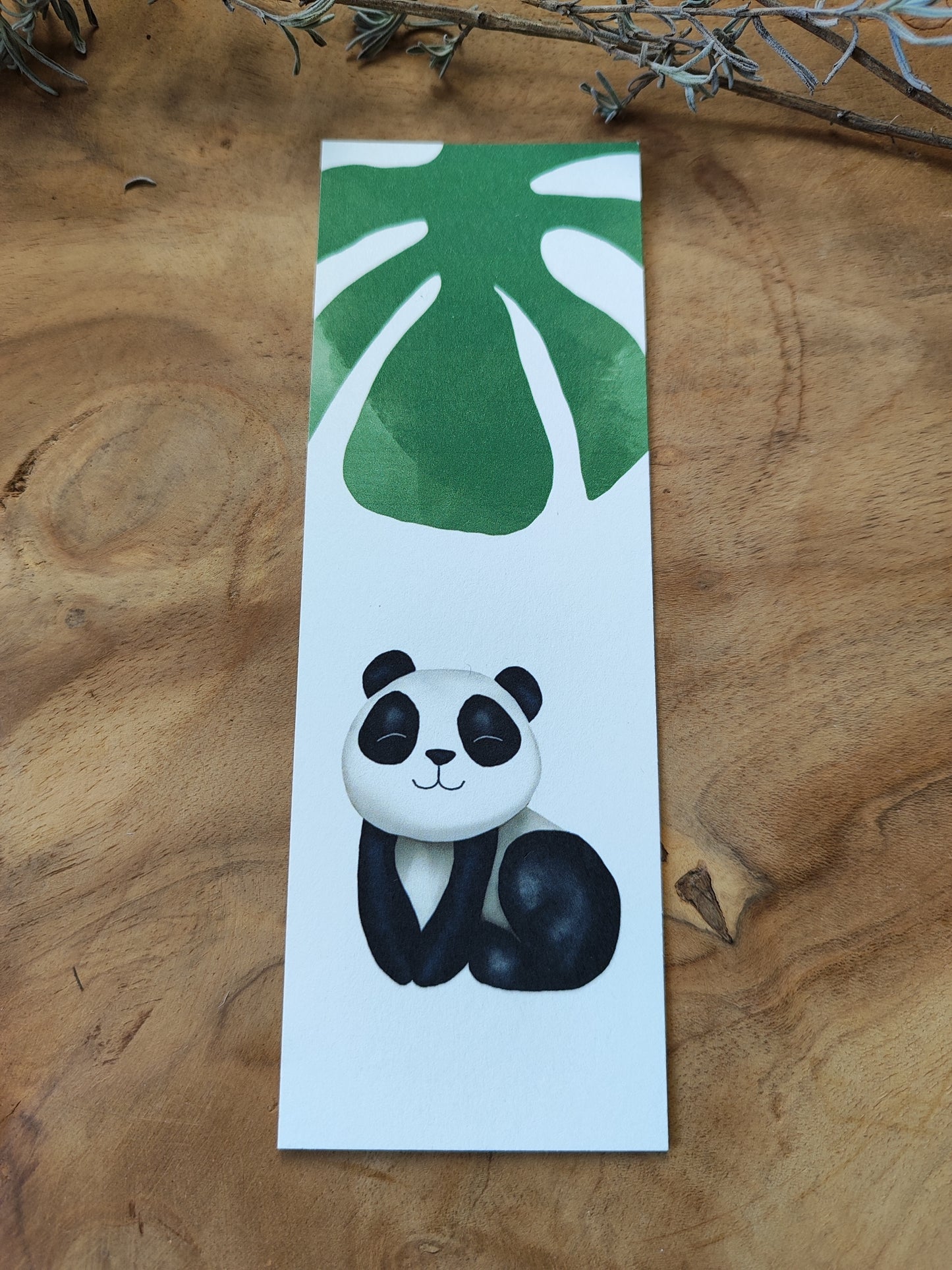 PANDA Monstera