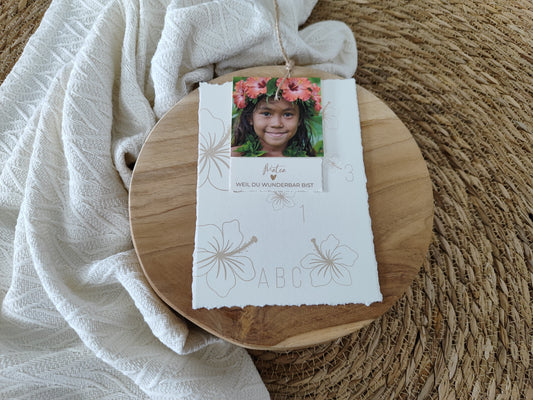 HIBISKUS Outline