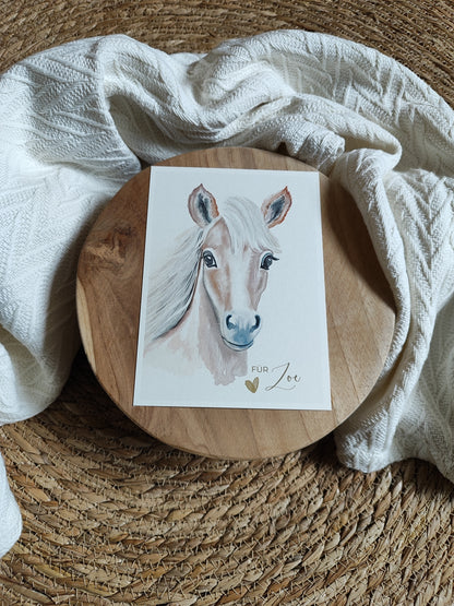 PFERD beige fotostyle