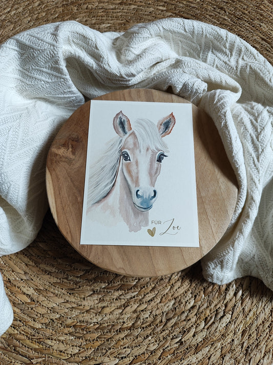 PFERD beige fotostyle
