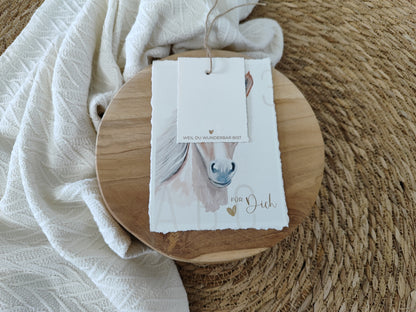 PFERD beige fotostyle