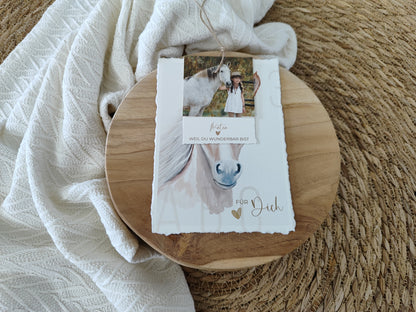 PFERD beige fotostyle
