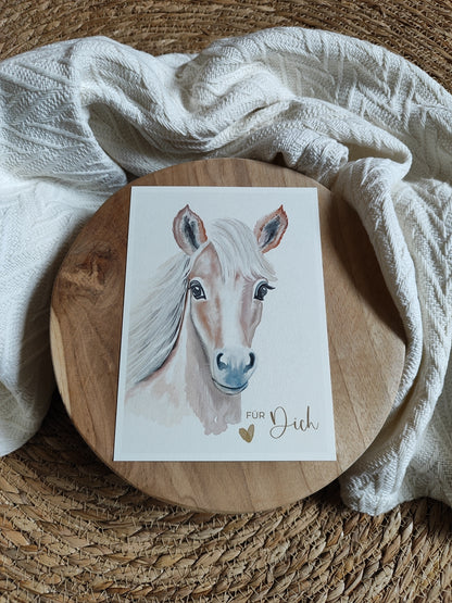 PFERD beige fotostyle