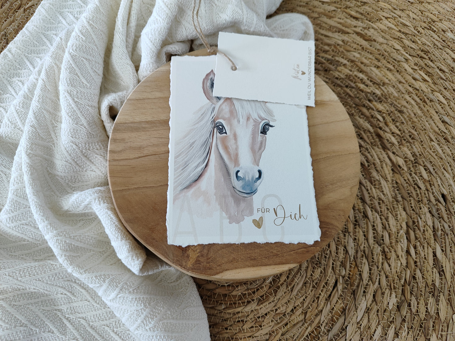 PFERD beige fotostyle