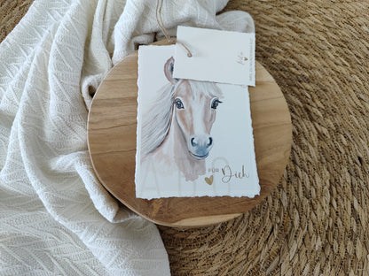 PFERD beige fotostyle