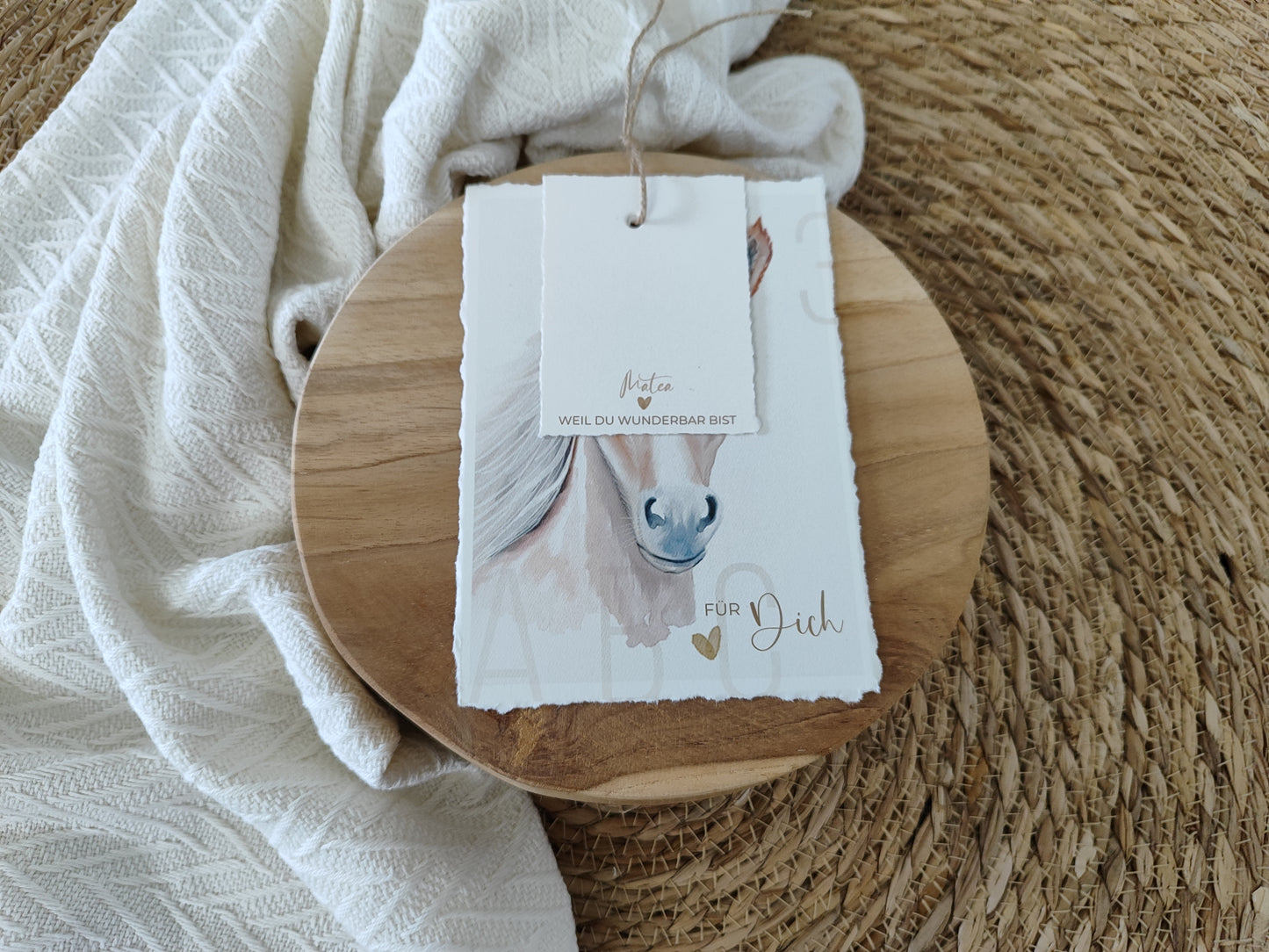 PFERD beige fotostyle