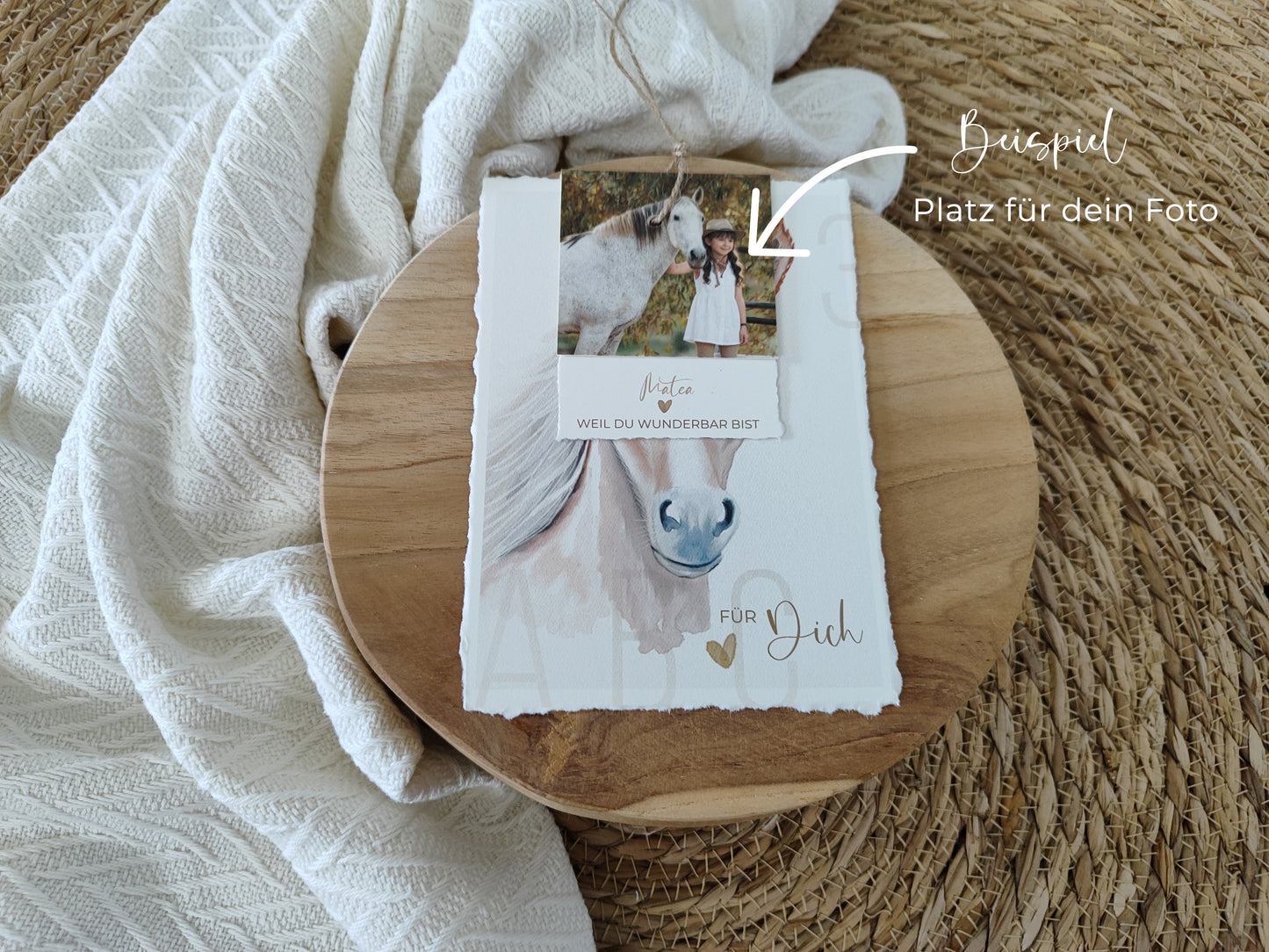 PFERD beige fotostyle