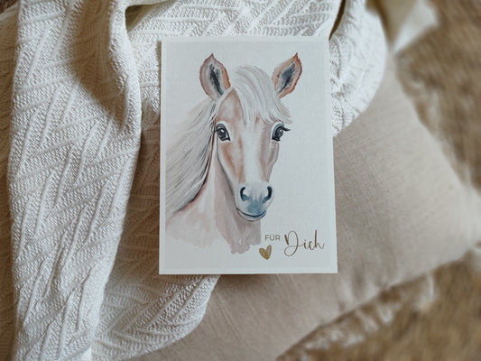 PFERD beige fotostyle